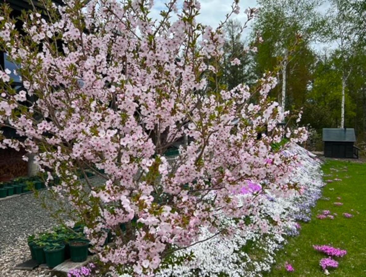Pensjonat Ritz Garden Niji Biei Zewnętrze zdjęcie