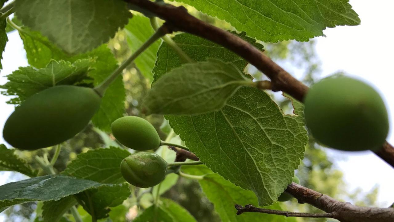 Pensjonat Ritz Garden Niji Biei Zewnętrze zdjęcie