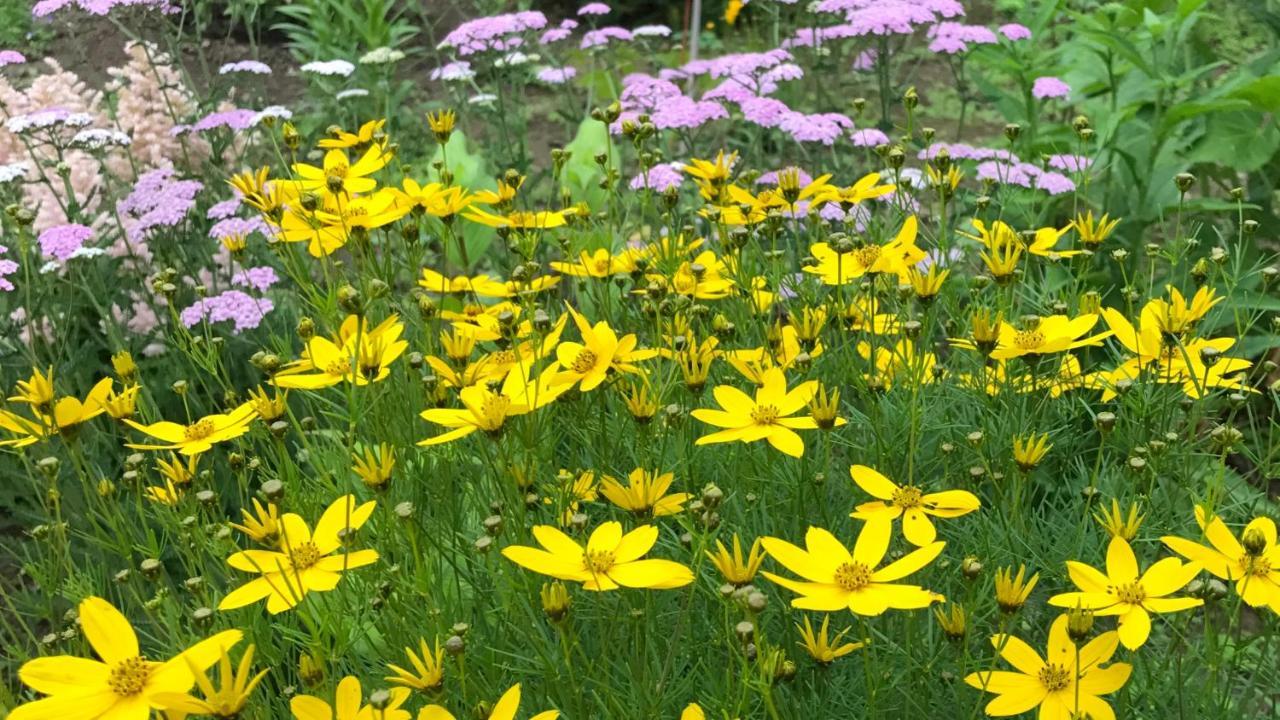 Pensjonat Ritz Garden Niji Biei Zewnętrze zdjęcie